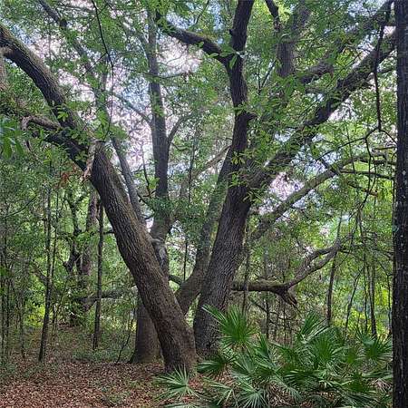 1.86 Acres of Residential Land for Sale in Silver Springs, Florida