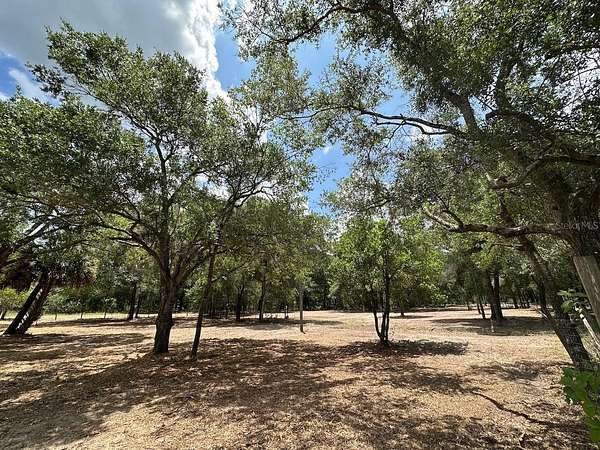 14.6 Acres of Land for Sale in Hudson, Florida