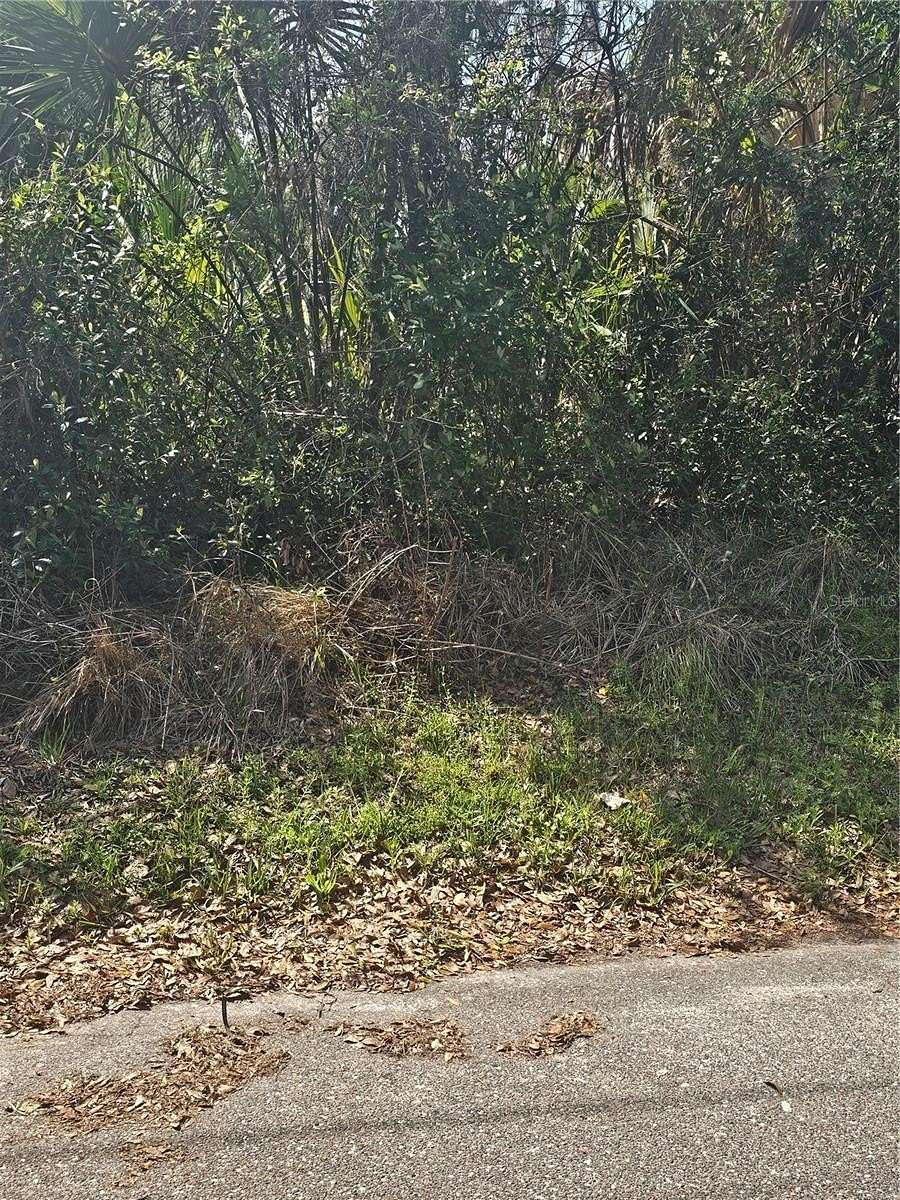 8 Acres of Land for Sale in Lake City, Florida