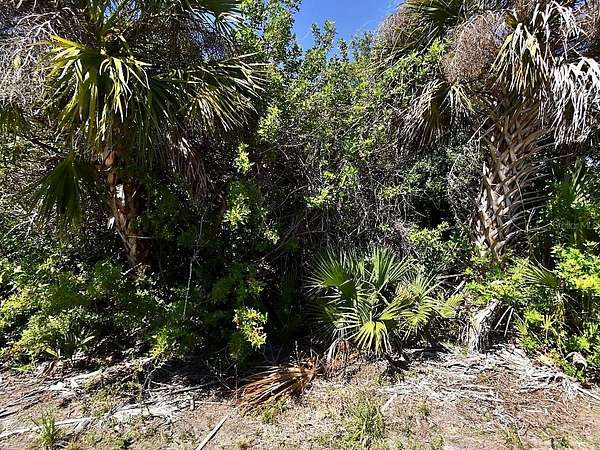 0.23 Acres of Residential Land for Sale in North Port, Florida