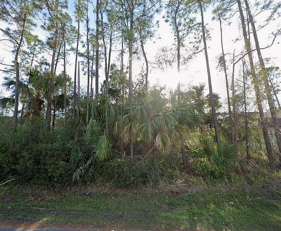 0.23 Acres of Land for Sale in Palm Coast, Florida