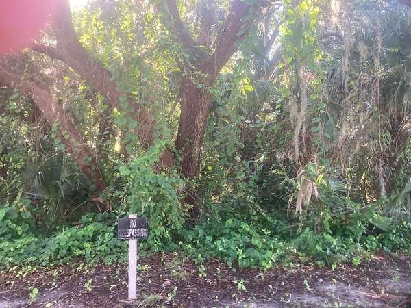 0.21 Acres of Residential Land for Sale in Oak Hill, Florida
