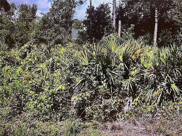 0.22 Acres of Residential Land for Sale in North Port, Florida