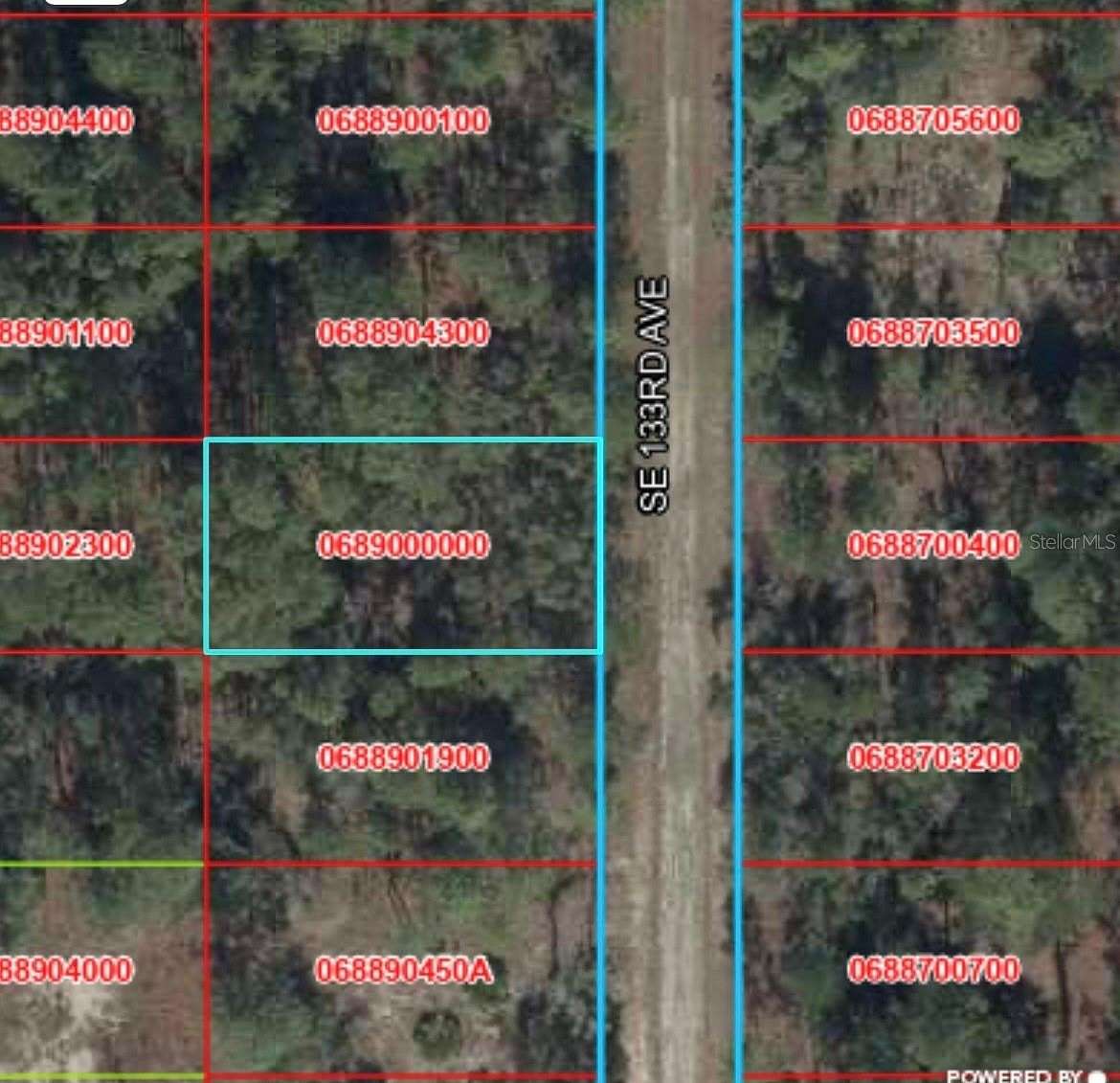 0.25 Acres of Residential Land for Sale in Dunnellon, Florida