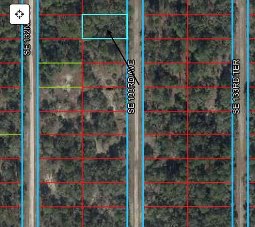 0.25 Acres of Residential Land for Sale in Dunnellon, Florida