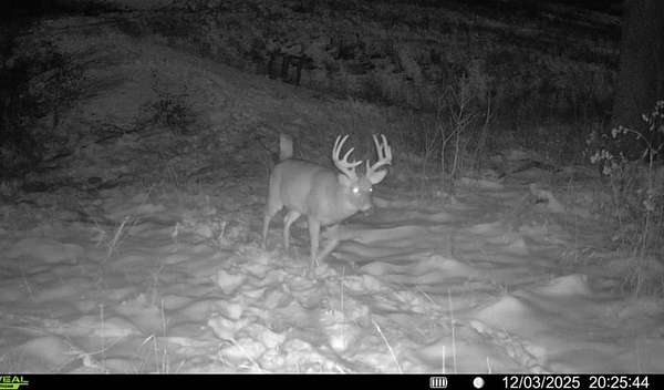 118 Acres of Land with Home for Sale in Boscobel, Wisconsin
