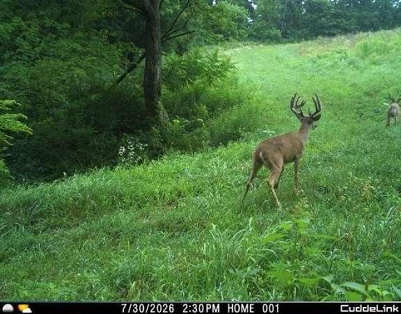 118 Acres of Land with Home for Sale in Boscobel, Wisconsin