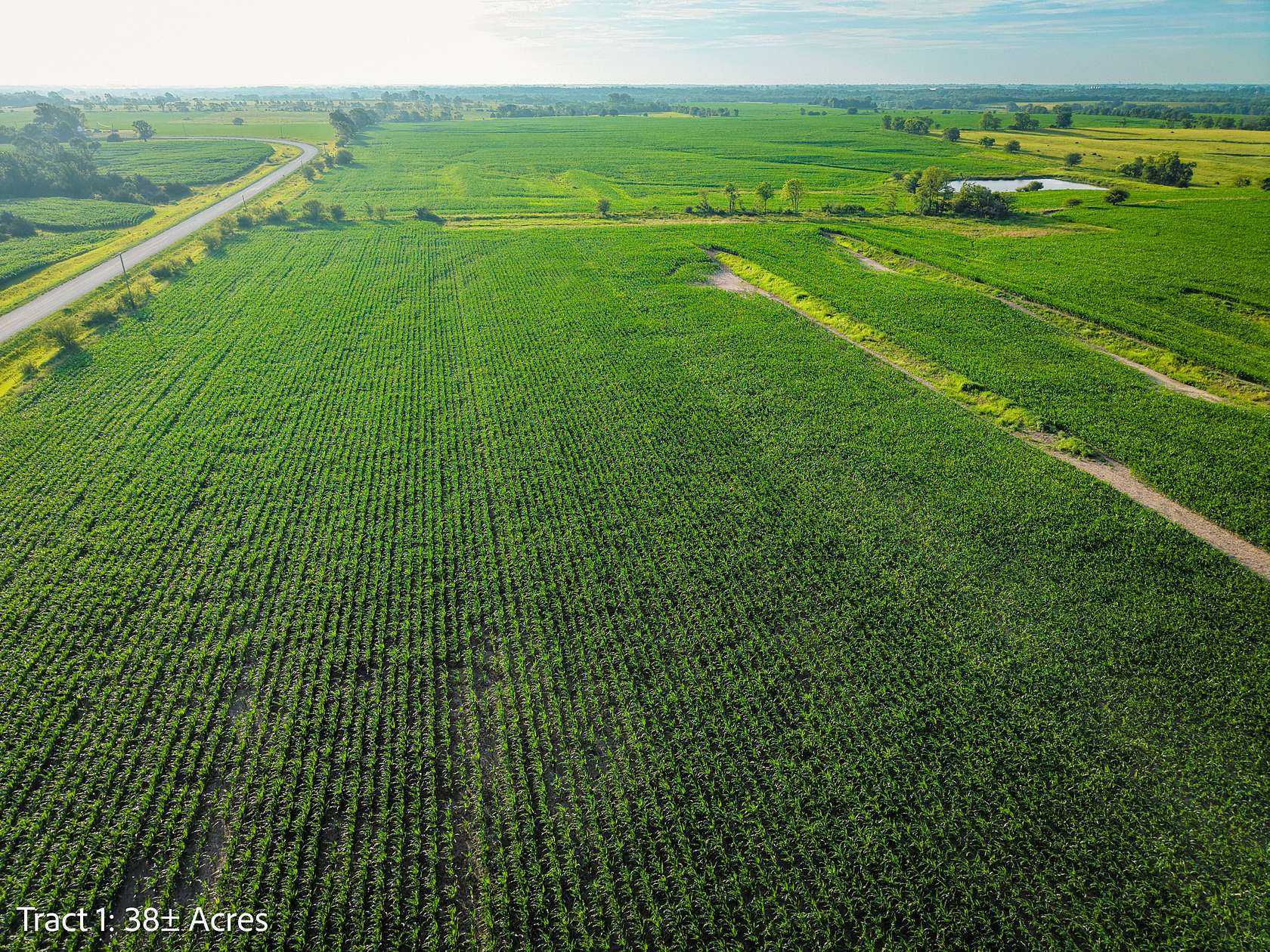 38 Acres of Land for Sale in Woodburn, Iowa