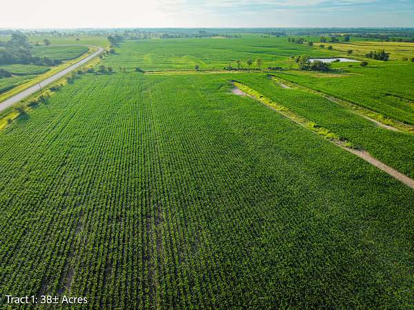 38 Acres of Land for Sale in Woodburn, Iowa