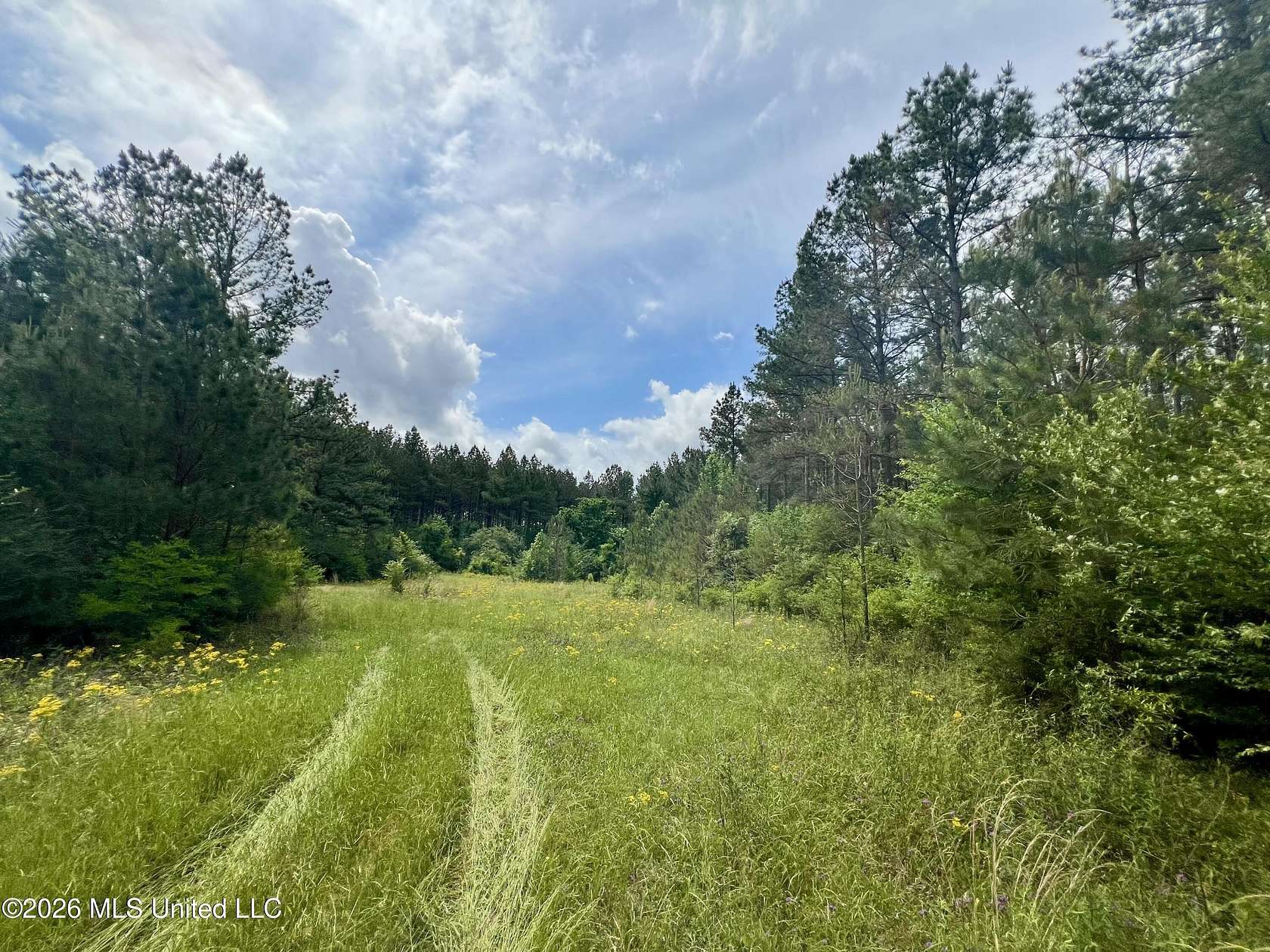 24.4 Acres of Recreational & Residential Land for Sale in Summit, Mississippi