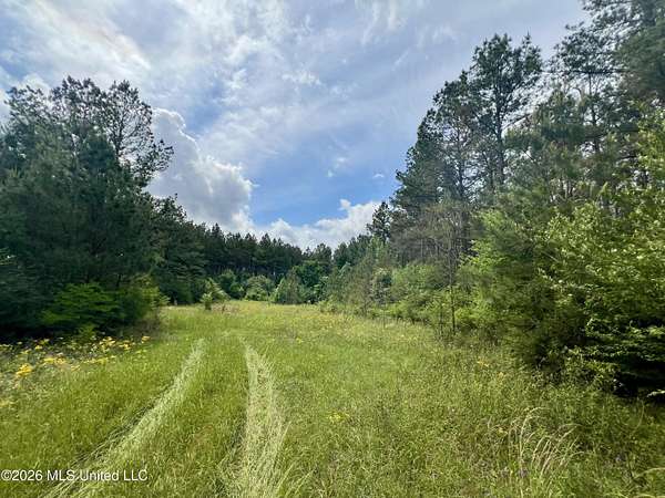 24.4 Acres of Recreational & Residential Land for Sale in Summit, Mississippi