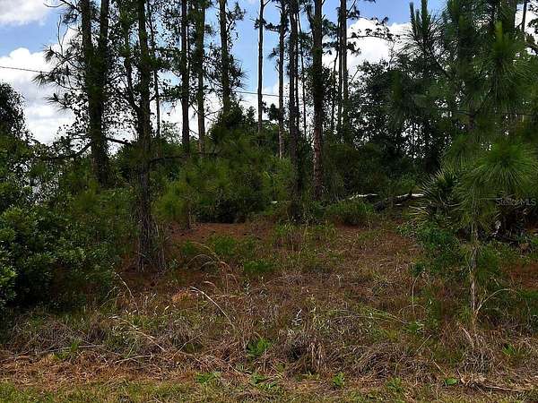 0.24 Acres of Residential Land for Sale in North Port, Florida