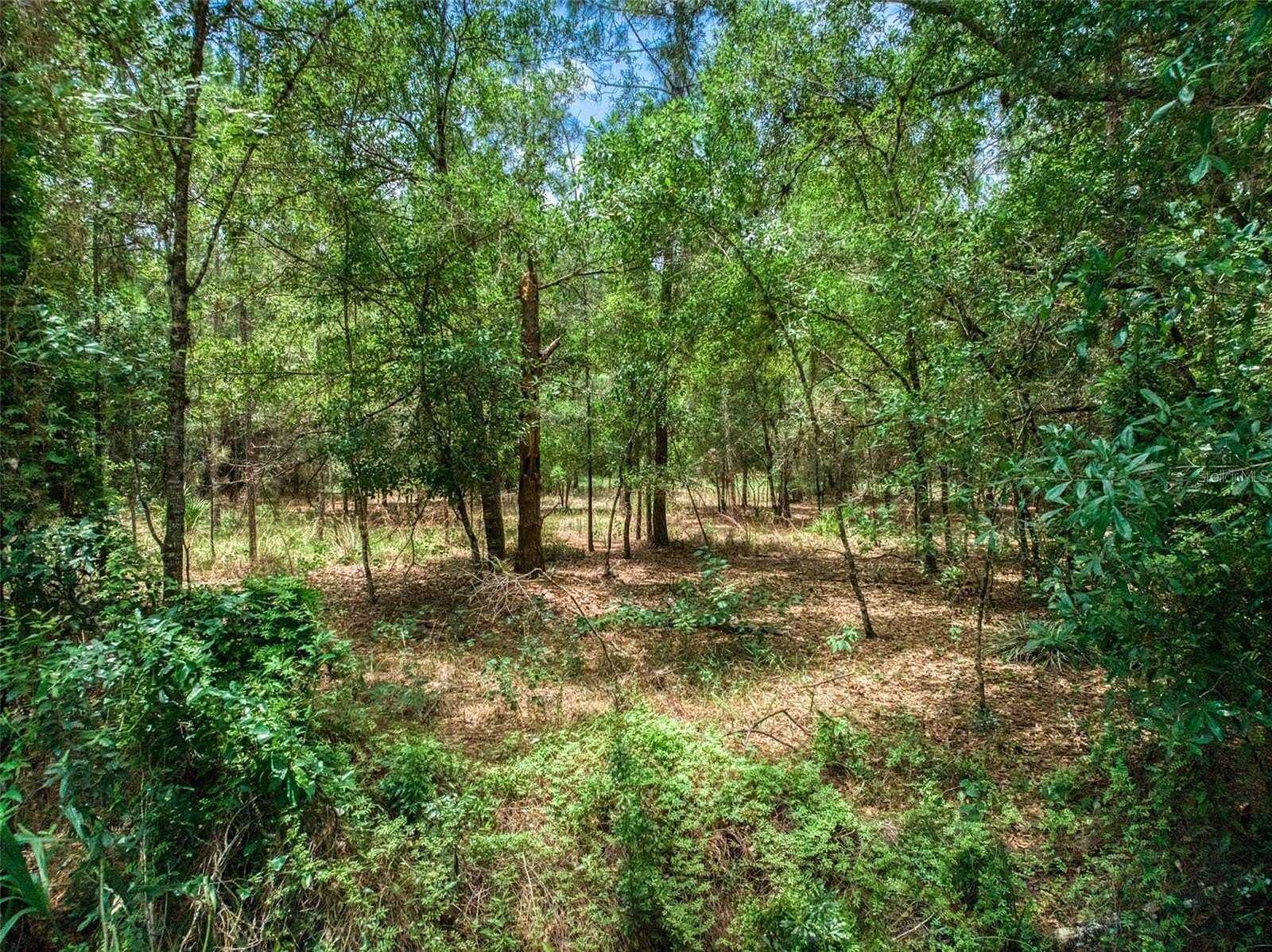 10 Acres of Land for Sale in Sebring, Florida