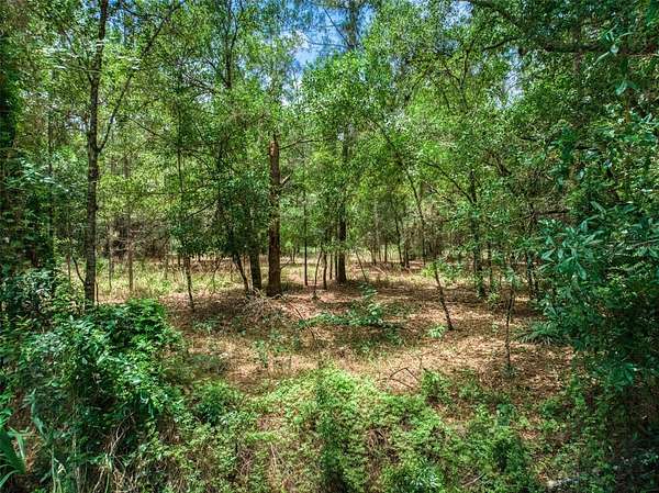 10 Acres of Land for Sale in Sebring, Florida