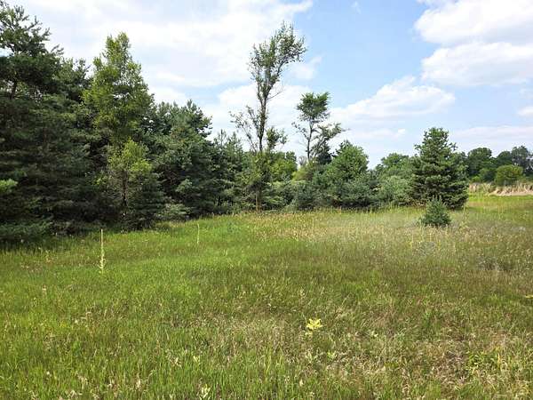 3 Acres of Residential Land for Sale in Trufant, Michigan