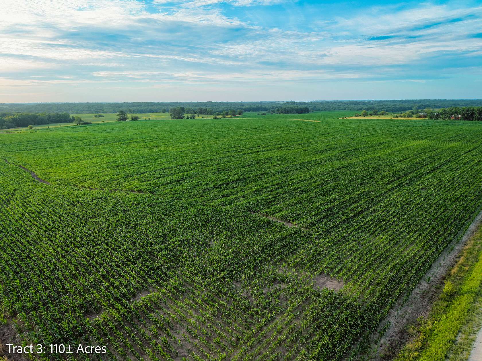 110 Acres of Land for Sale in Woodburn, Iowa