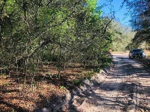 0.21 Acres of Land for Sale in Lady Lake, Florida