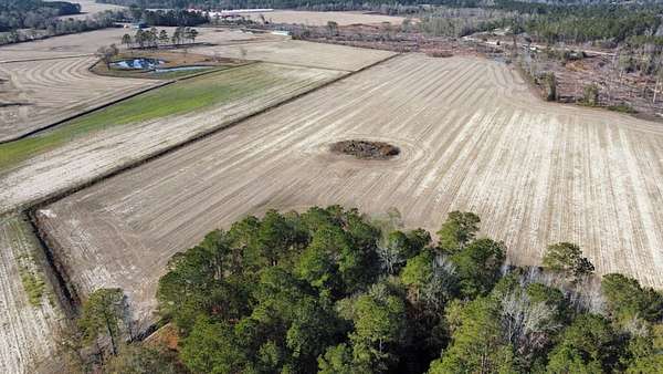 35.7 Acres of Land for Sale in Nichols, South Carolina