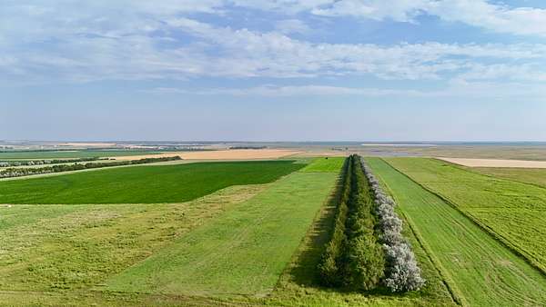 40 Acres of Land for Sale in Pierre, South Dakota