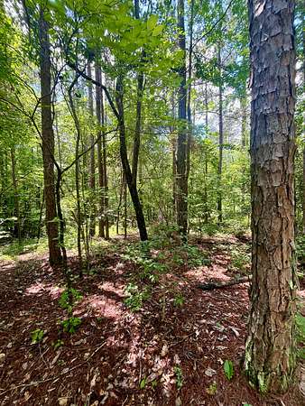 6 Acres of Residential Land for Sale in Wedowee, Alabama