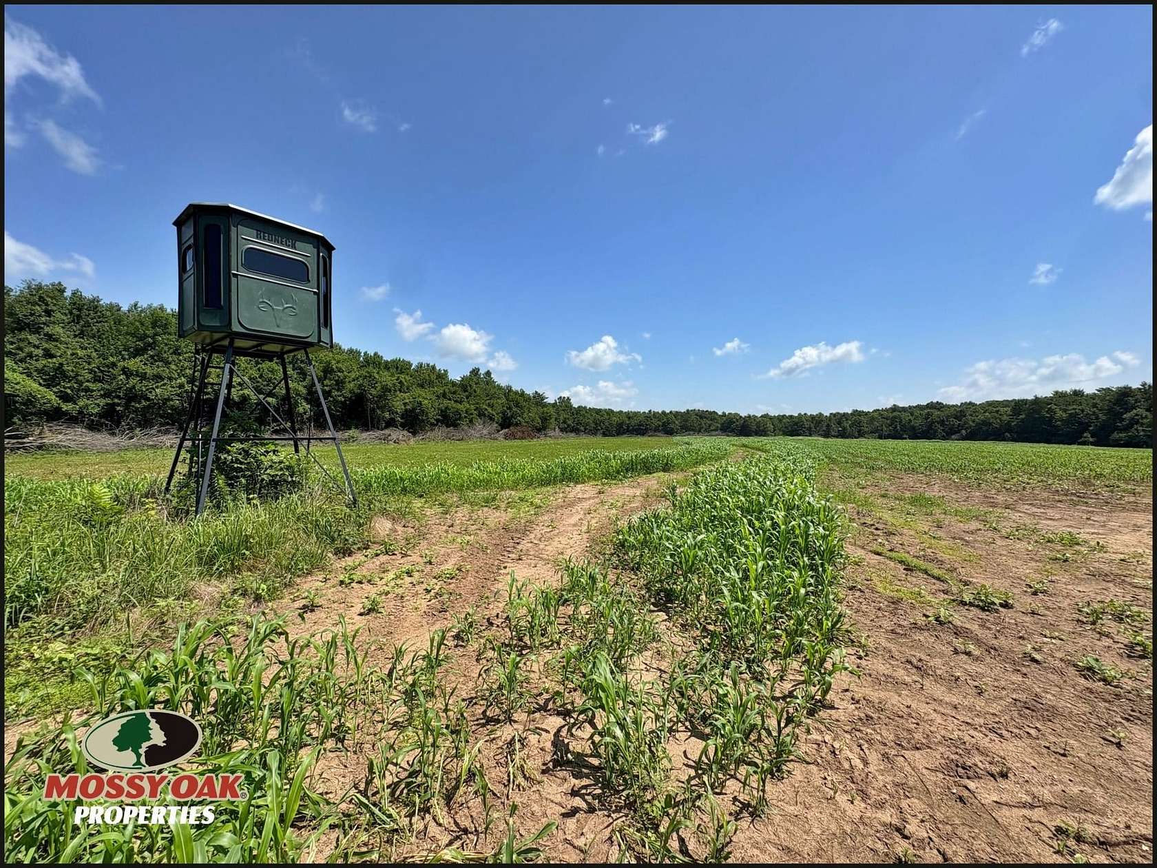 173 Acres of Recreational Land for Sale in York, Illinois