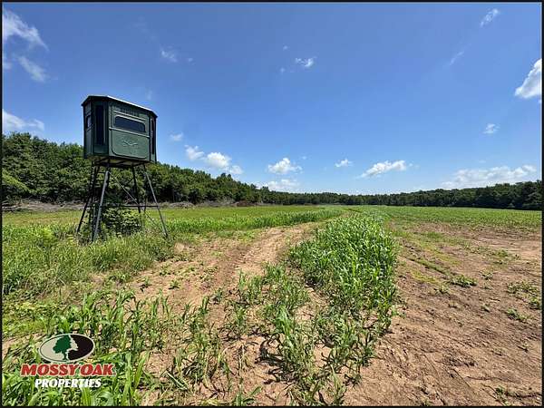 173 Acres of Recreational Land for Sale in York, Illinois