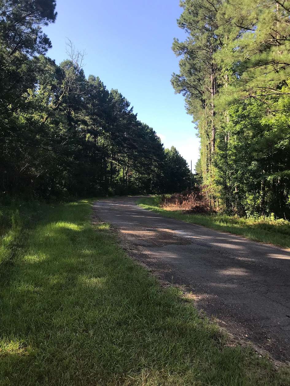 295 Acres of Recreational Land for Sale in Roxie, Mississippi