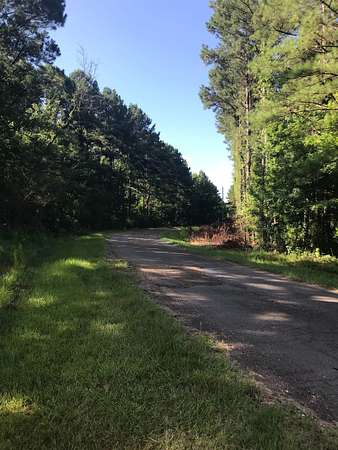 295 Acres of Recreational Land for Sale in Roxie, Mississippi