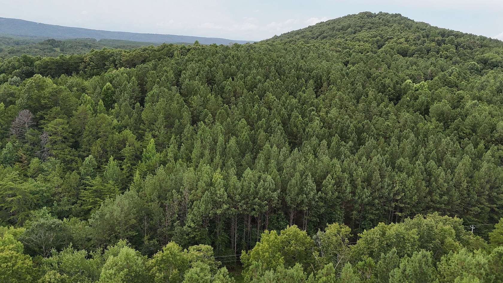 5.3 Acres of Residential Land for Sale in Gaylesville, Alabama