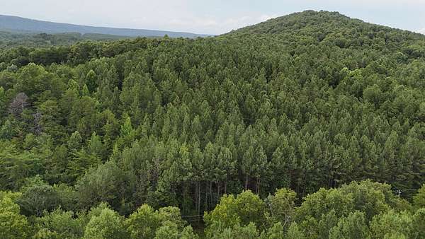 5.3 Acres of Residential Land for Sale in Gaylesville, Alabama