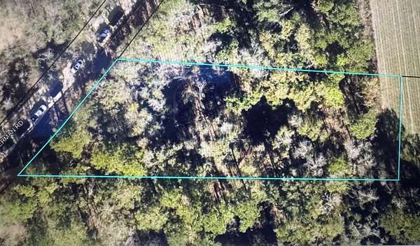 1 Acre of Residential Land for Sale in Hahira, Georgia