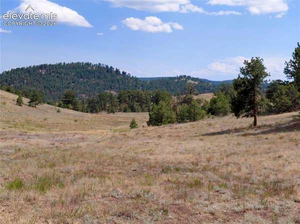 23.8 Acres of Recreational & Residential Land for Sale in Guffey, Colorado