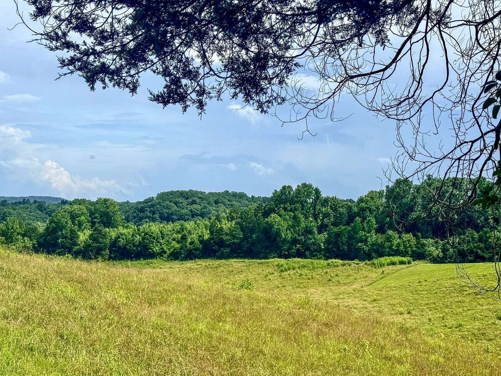 5 Acres of Residential Land for Sale in Smithville, Tennessee