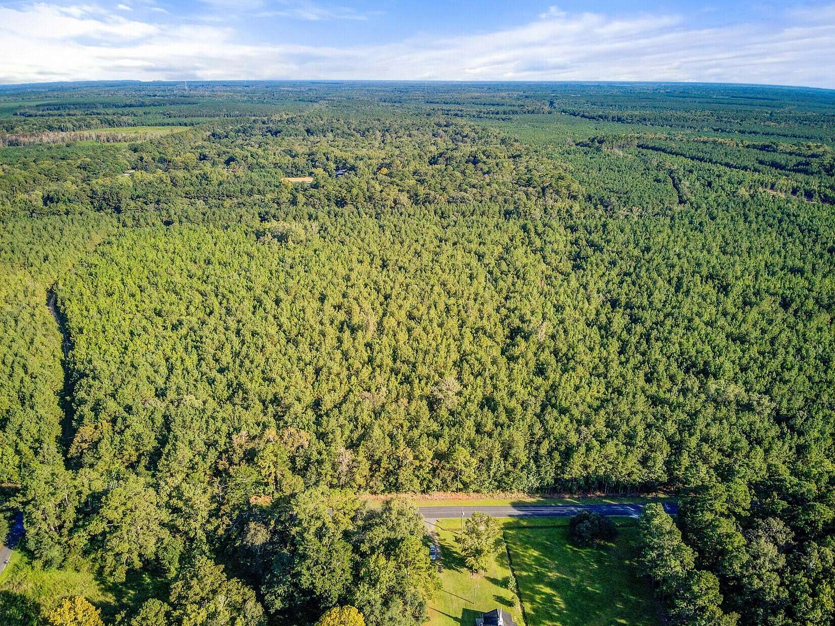 20.5 Acres of Recreational & Residential Land for Sale in Ridgeville, South Carolina