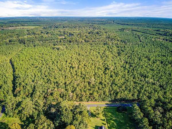 20.5 Acres of Recreational & Residential Land for Sale in Ridgeville, South Carolina