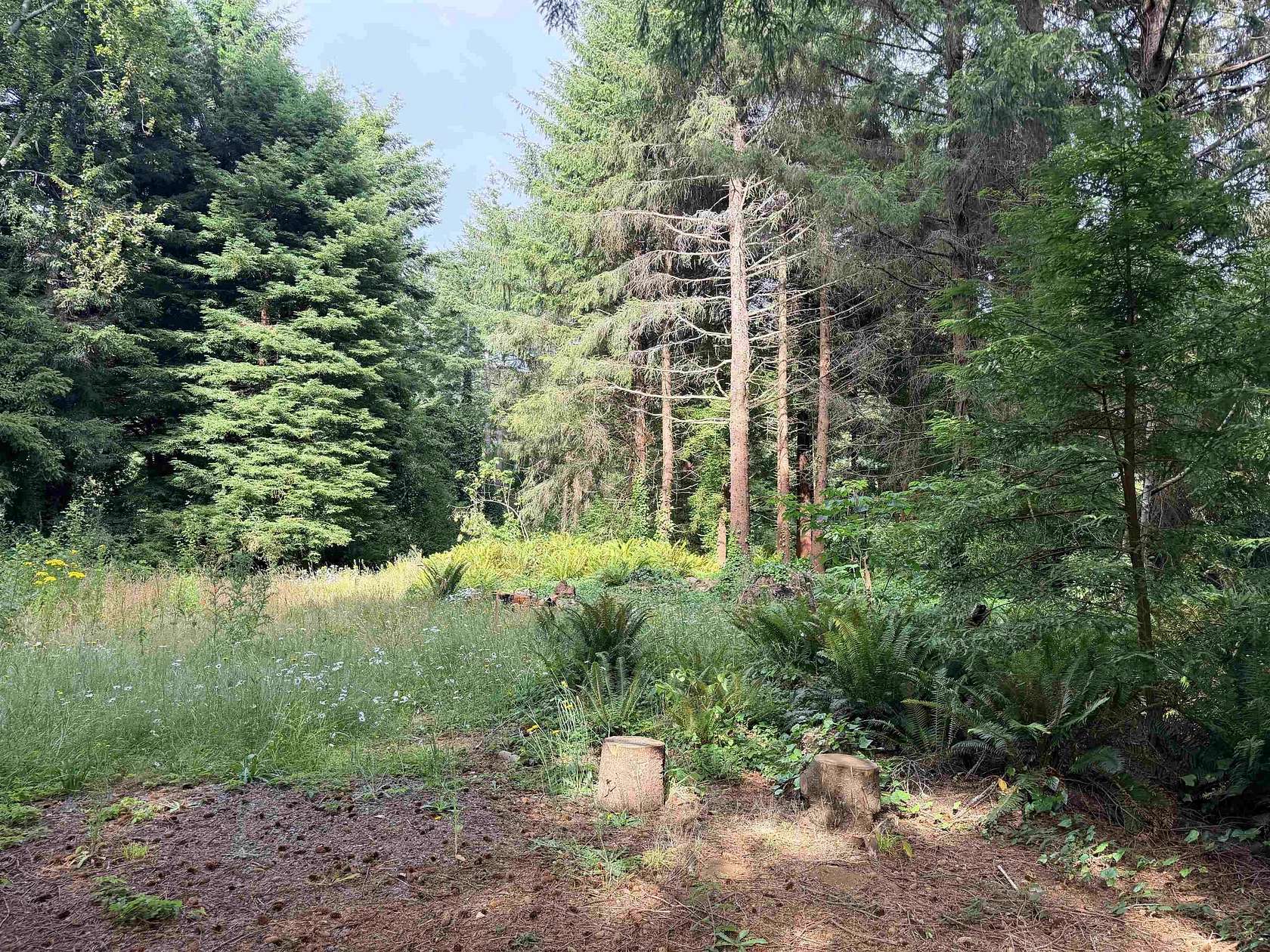 1 Acre of Residential Land for Sale in Crescent City, California