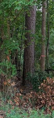 6.5 Acres of Residential Land for Sale in North Augusta, South Carolina