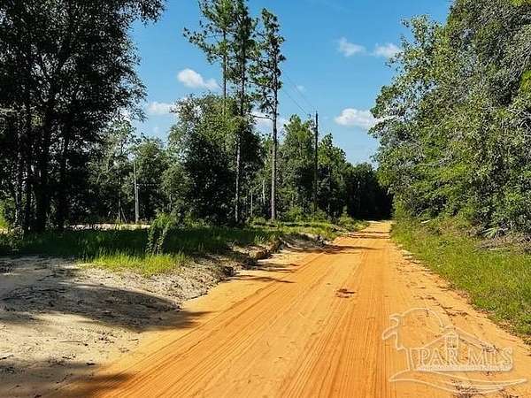 12.8 Acres of Recreational & Residential Land for Sale in Holt, Florida