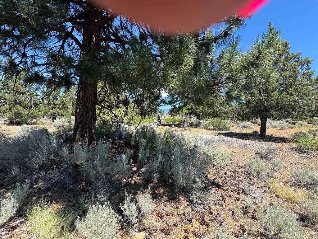 0.26 Acres of Land for Sale in Weed, California