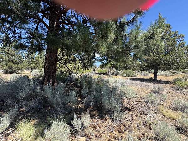 0.26 Acres of Land for Sale in Weed, California