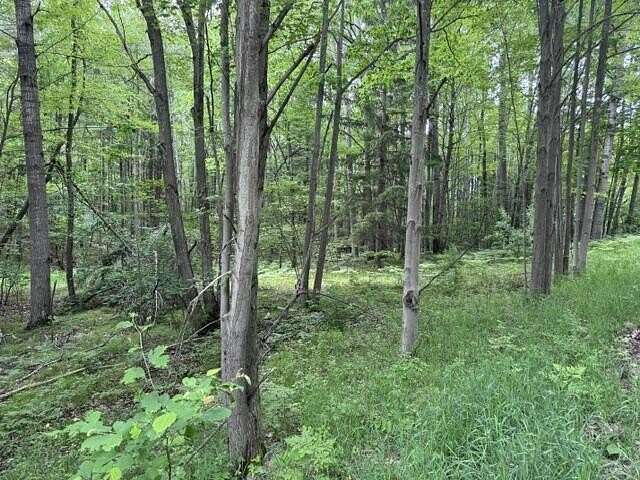 0.52 Acres of Residential Land for Sale in Le Roy, Michigan