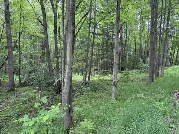 0.52 Acres of Residential Land for Sale in Le Roy, Michigan