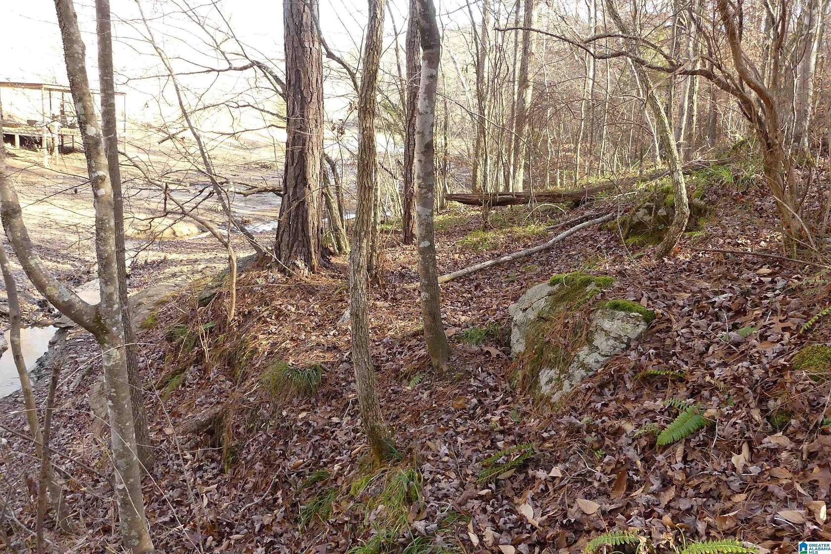 1.46 Acres of Land for Sale in Delta, Alabama