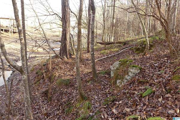 1.46 Acres of Land for Sale in Delta, Alabama