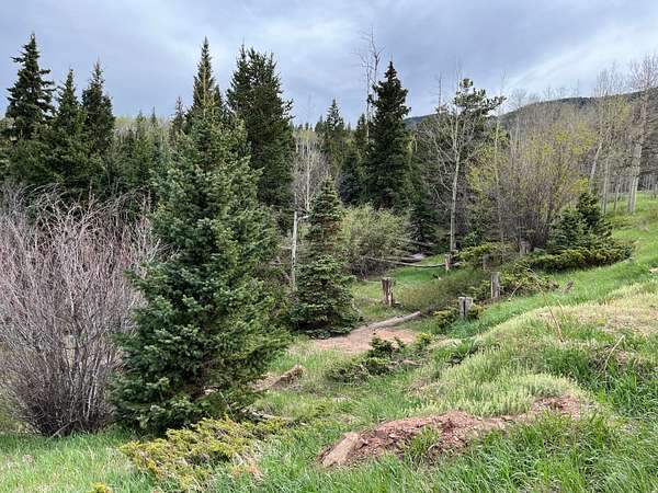 1 Acre of Land for Sale in Cuchara, Colorado