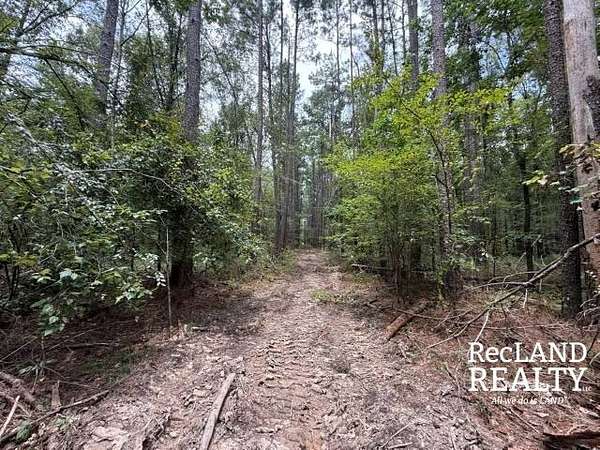 80.9 Acres of Recreational Land for Sale in Monroe, Louisiana