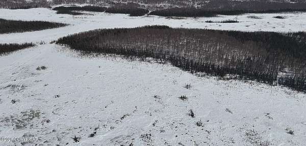 40.1 Acres of Recreational Land for Sale in Willow, Alaska