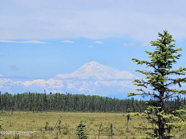40.1 Acres of Recreational Land for Sale in Willow, Alaska