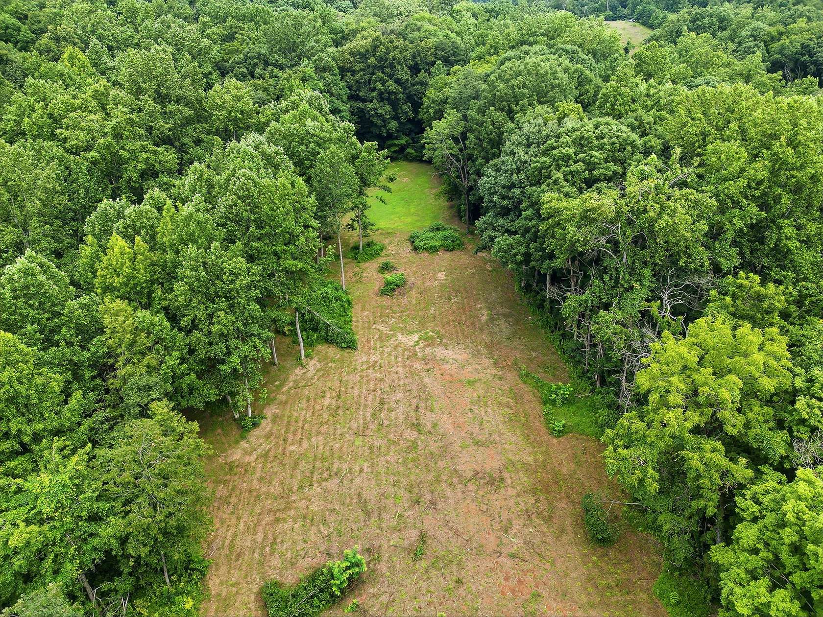 19.1 Acres of Recreational & Residential Land for Sale in Cottontown, Tennessee