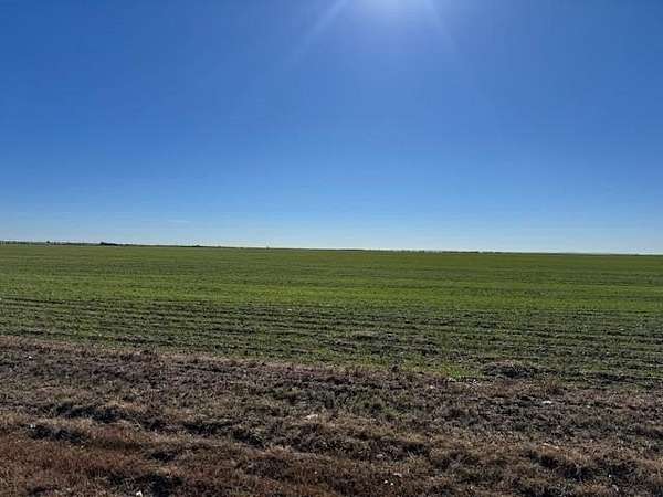 67.2 Acres of Agricultural Land for Sale in Abilene, Texas